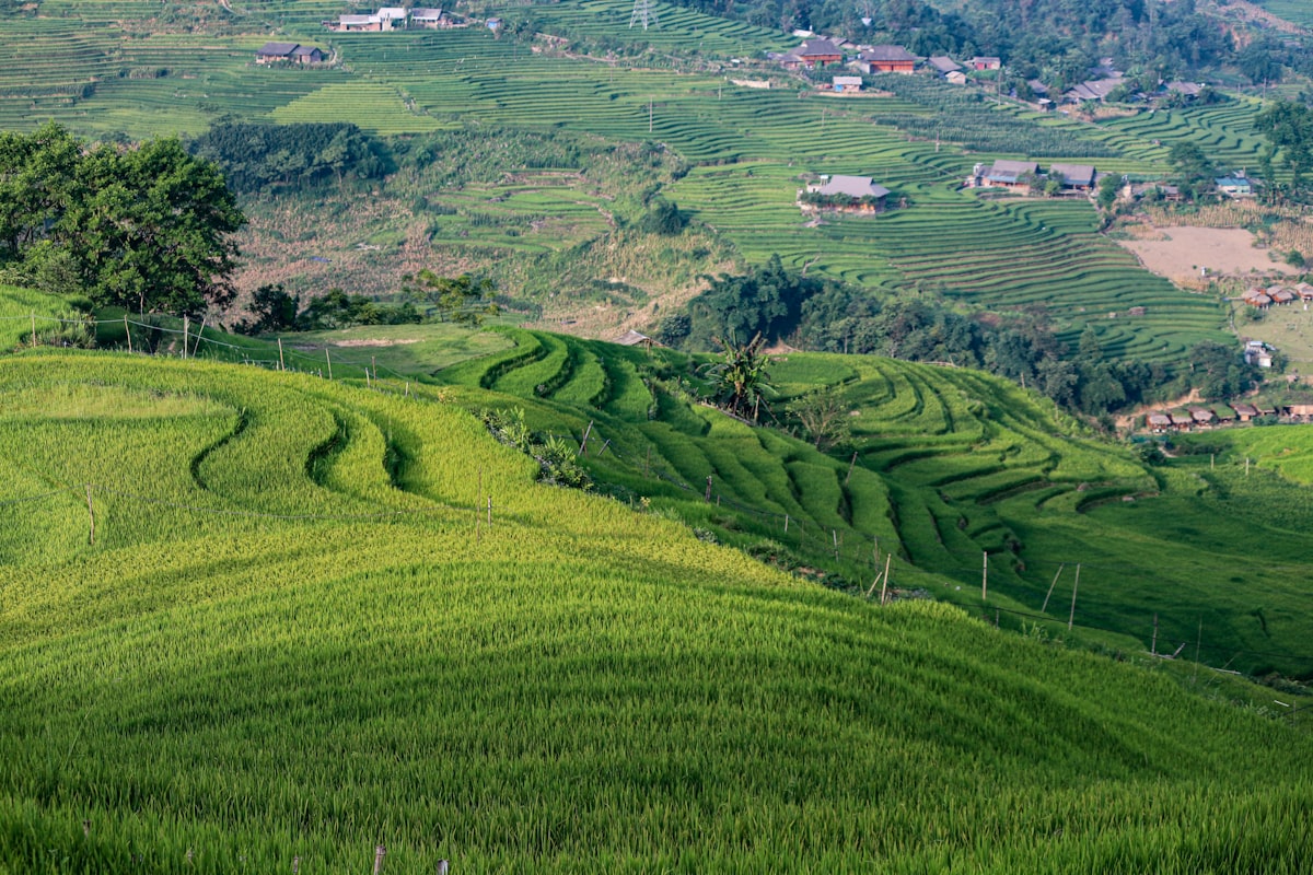 How municipalities engage residents in green plans