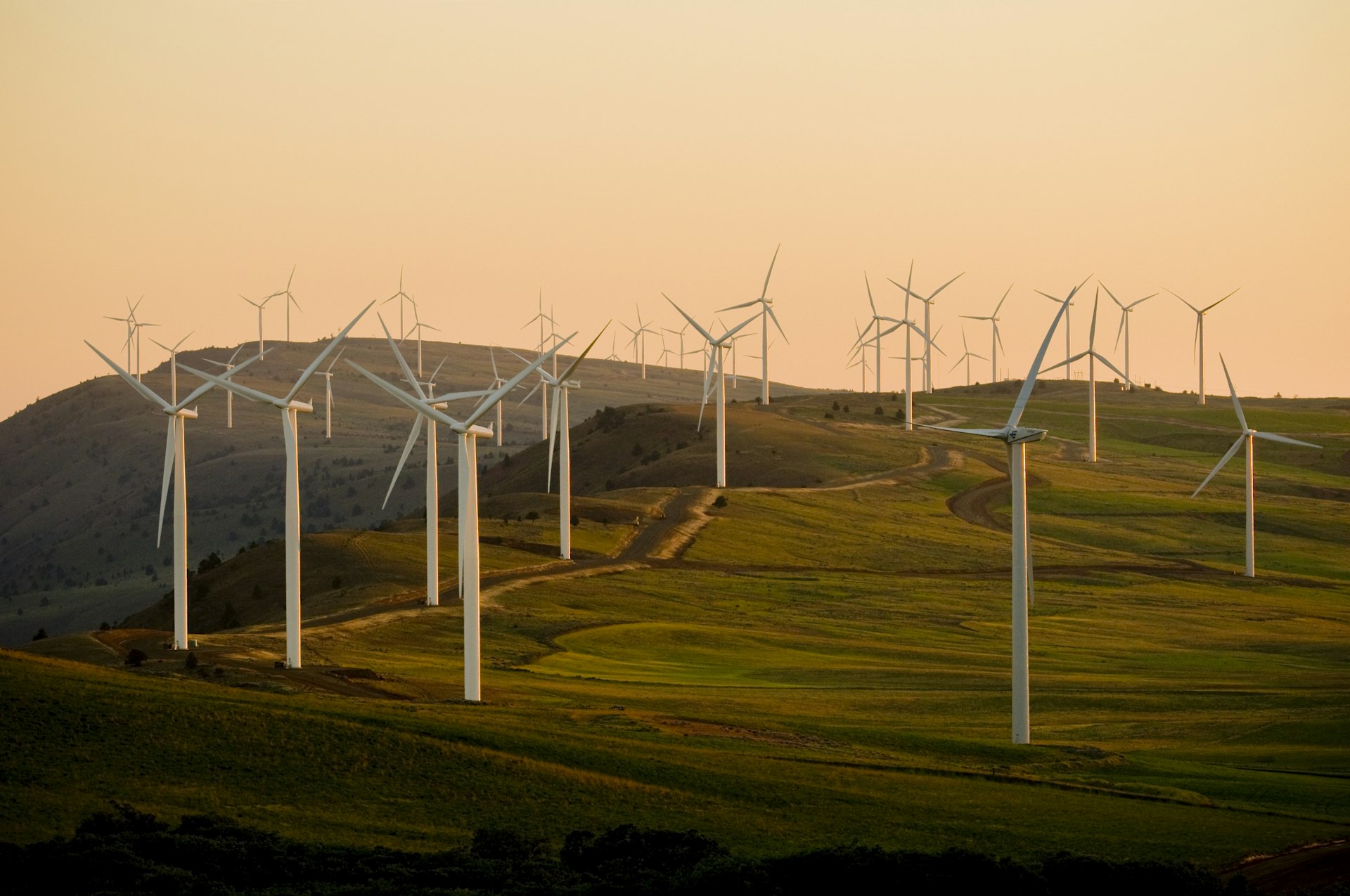 Wind turbines above a green Dutch polder landscape