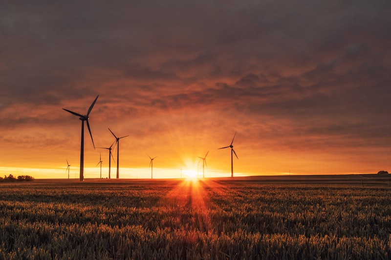 How rooftops in the Randstad contribute to the energy transition